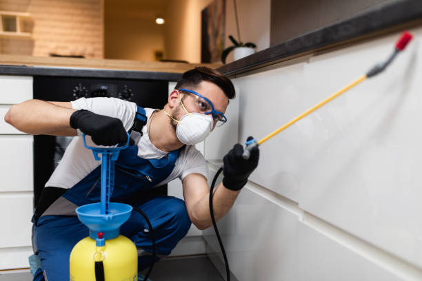 Best Flea Control Services  in Whitewright, TX