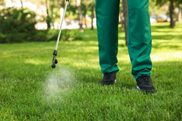 Best Wildlife Control Services  in Whitewright, TX