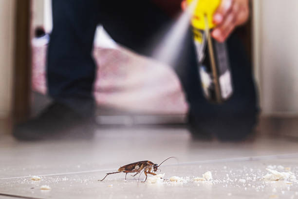 Reliable Whitewright, TX Pest Control Solutions